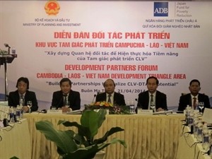 A view of the forum (Photo: VNA)